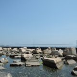 大蔵海岸公園に行ってきた。5月の海辺は最高。